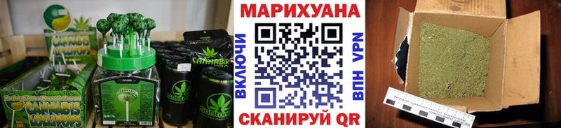 Купить где  Олонец  Cannafood конопля 