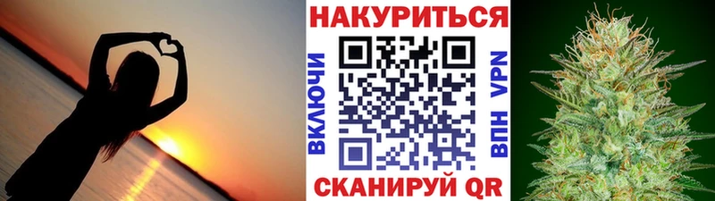 Купить где  Олонец  Каннабис гибрид 